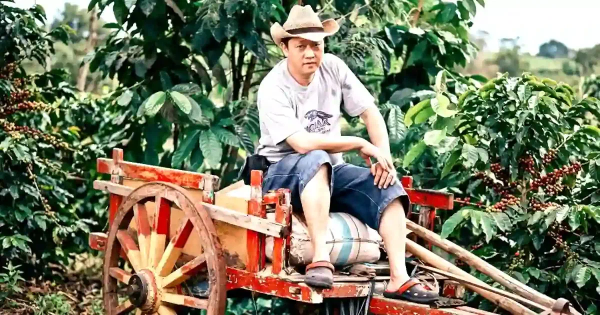 Musisi Sekho Mangarek dari grup Makantar Makaaruyen mengenakan topi jerami dan kaus abu-abu, duduk di atas gerobak kayu tua bernuansa merah di tengah perkebunan kopi.